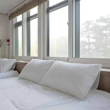 Manso Hostel In Ddp